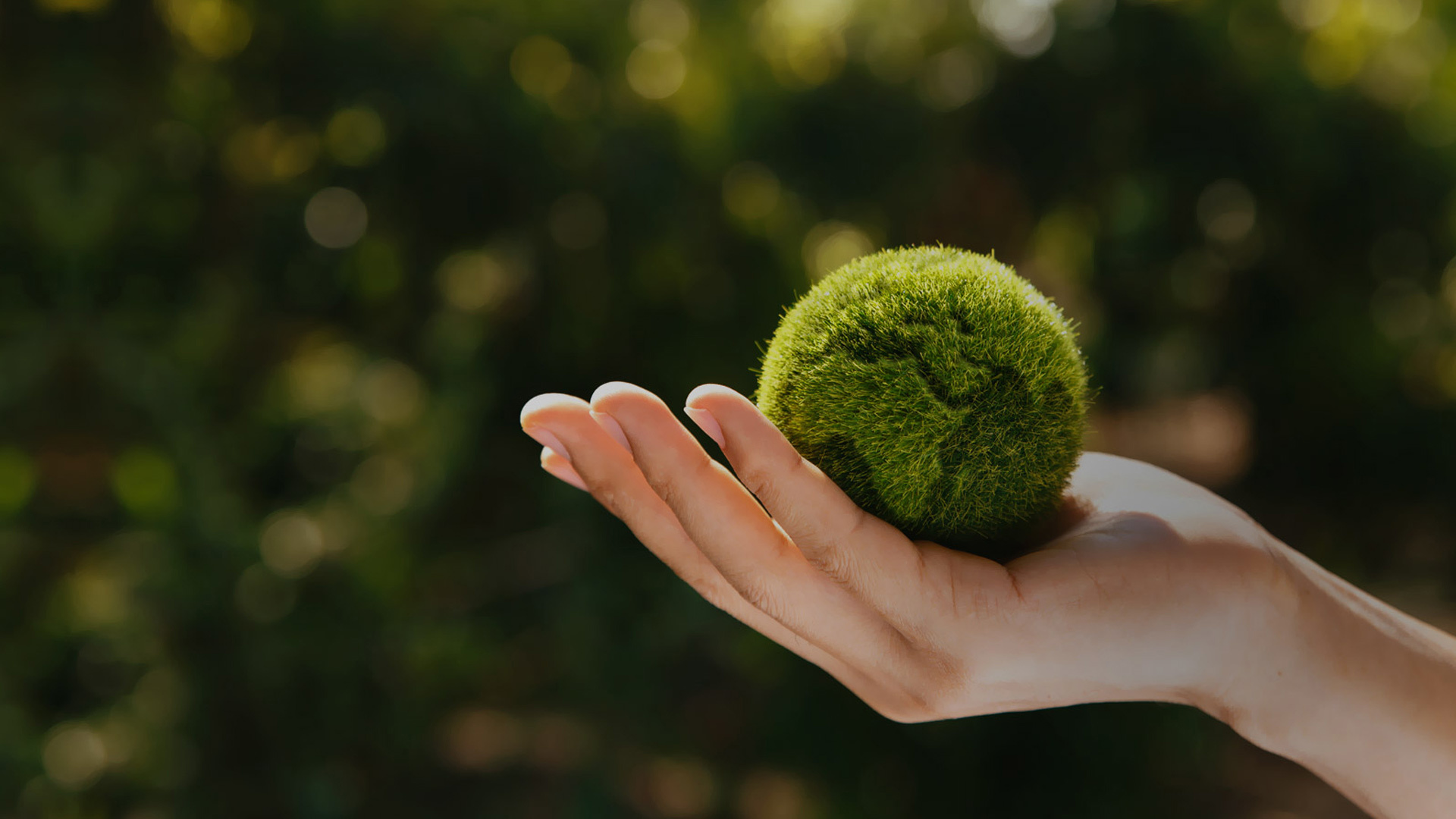 聚焦文化，热爱生活，传播正能量