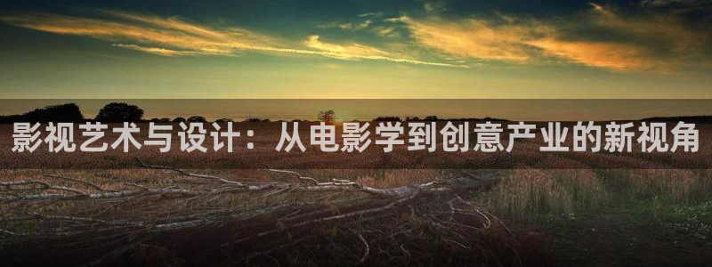 电影桃花运在线观看：影视艺术与设计：从电影学到创意产业的新视角