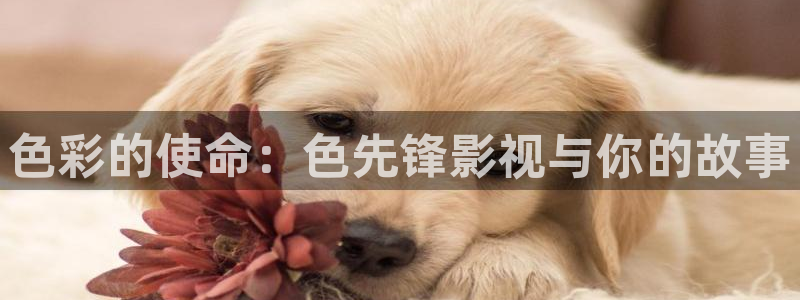久久桃花影院：色彩的使命：色先锋影视与你的故事