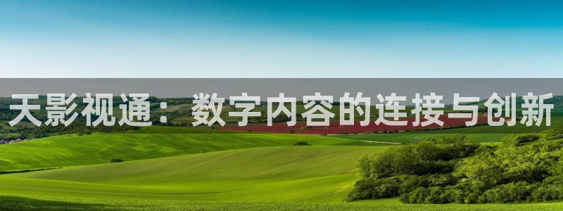 桃花电影：天影视通：数字内容的连接与创新